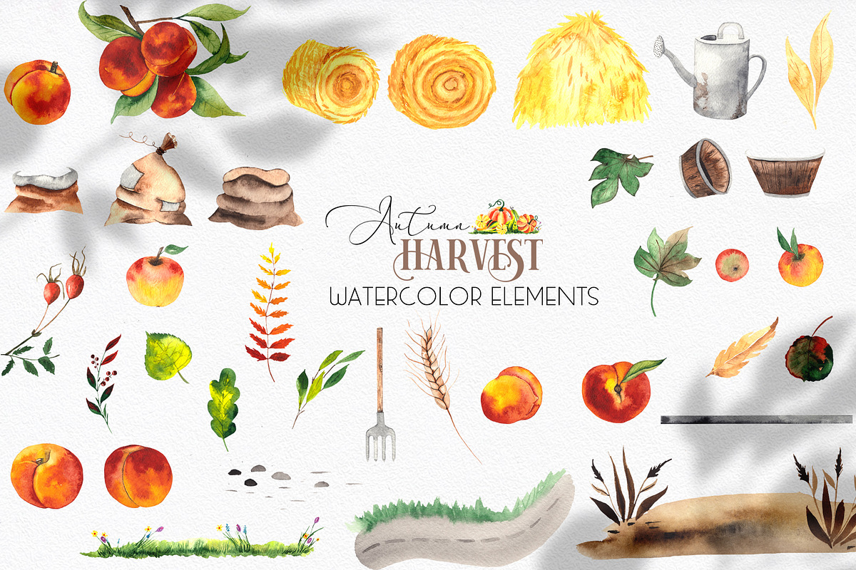 Watercolor Autumn Harvest, an Object Graphic by Ana-Sakuta (Photo 16 of 17)