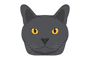 9x Cat breeds Vector Collection, an Animal Illustration by asantosg (Thumbnail 3 of 5)