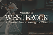 Bilena - Old Style Serif, a Serif Font by Pandeka Studio (Thumbnail 5 of 9)