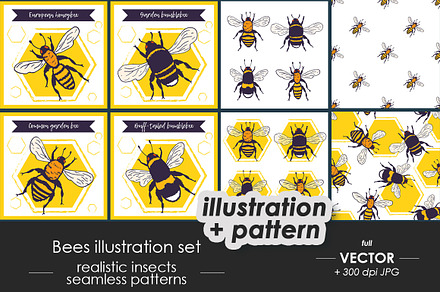 Bees set, illustrations + patterns