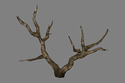 Dead_Tree_2, an Environmental 3D Model by 2dawngames (Thumbnail 1 of 3)