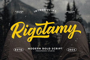 Rigotamy - Script Font