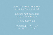 Juliette Pixel Art Serif, a Serif Font by Schrifted Type (Thumbnail 7 of 8)
