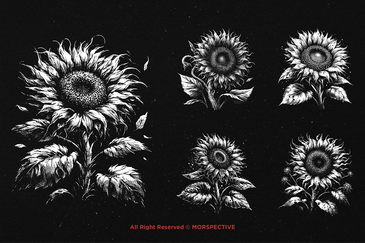 10 Bundle Dark Art Sun Flower, an Illustration by Morspective (Photo 3 of 7)
