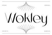 CS Wokley – Modern Sans Serif, a Sans Serif Font by Craft Supply Co. (Thumbnail 1 of 8)