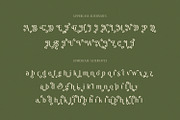 True Sage - Decorative Serif Family, a Font by creativemedialab (Thumbnail 6 of 16)