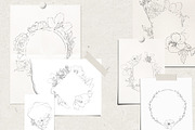 Pencil-drawn flowers, a Decorative Illustration by Damian Roh (Thumbnail 12 of 21)