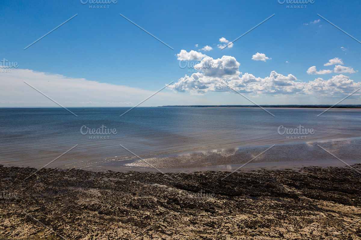 Feeling Horizon for $10, a Templates & Theme by Feelings (Photo 4 of 5)