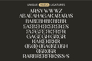 Asoga – Modern Elegant Serif Font, a Serif Font by WhymoreArt (Thumbnail 8 of 11)