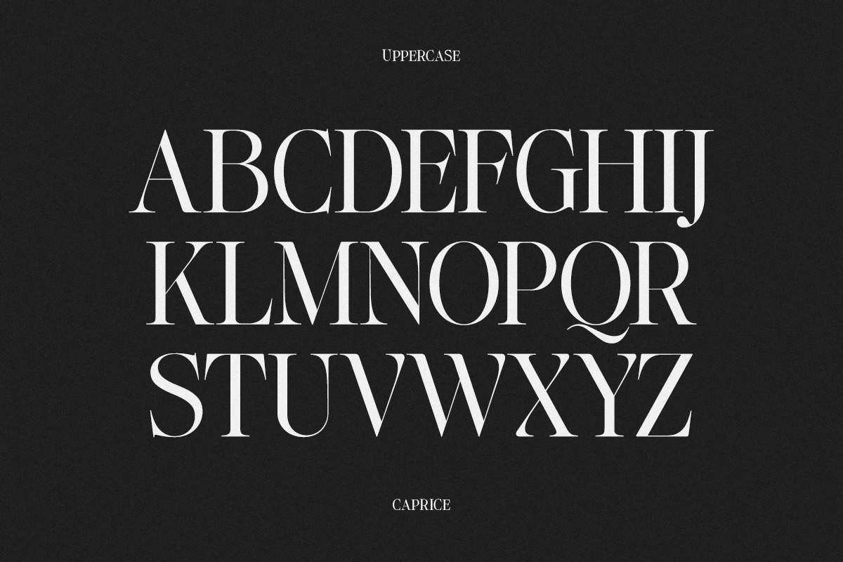 Lifestyle Icons | 8 Font Files, a Serif Font by Pista Mova (Photo 16 of 21)