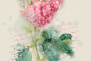 Watercolor Roses Vintage Overlays, an Illustration by ephemoire (Thumbnail 4 of 8)