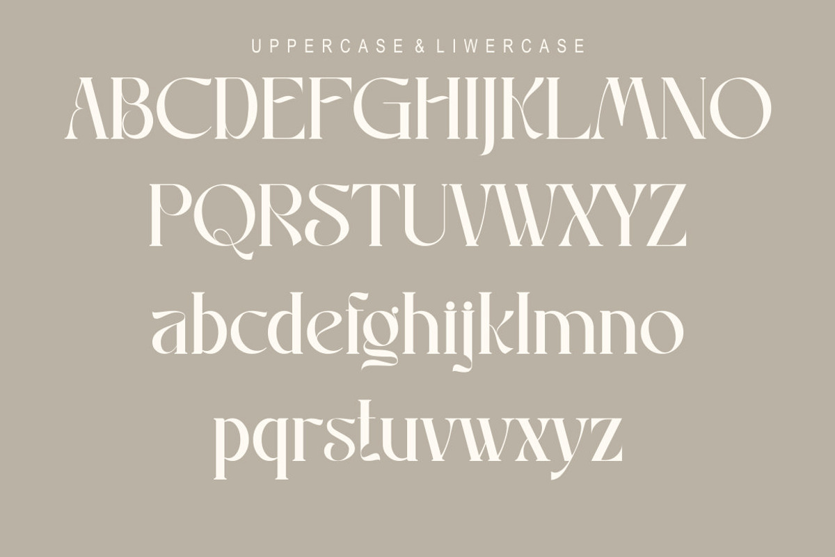 Raniosa, a Serif Font by Kenrichi (Photo 4 of 10)