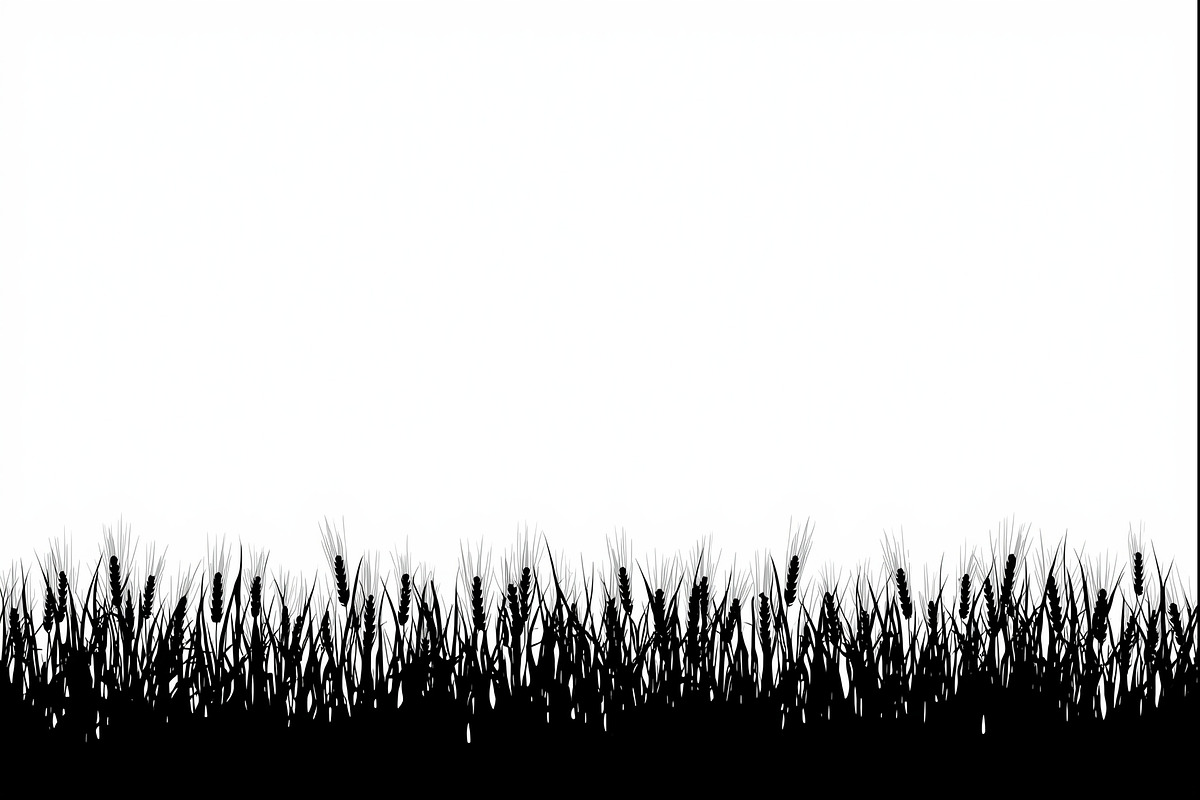 Rustic Wheat Field Vector Borders, an Illustration by hafijul (Photo 2 of 9)