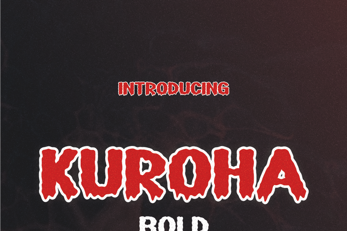 Kuroha, a Sans Serif Font by lelevien (Photo 5 of 6)