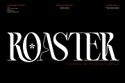 ROASTER - Absonstype, a Serif Font by Absonstype (Thumbnail 1 of 11)