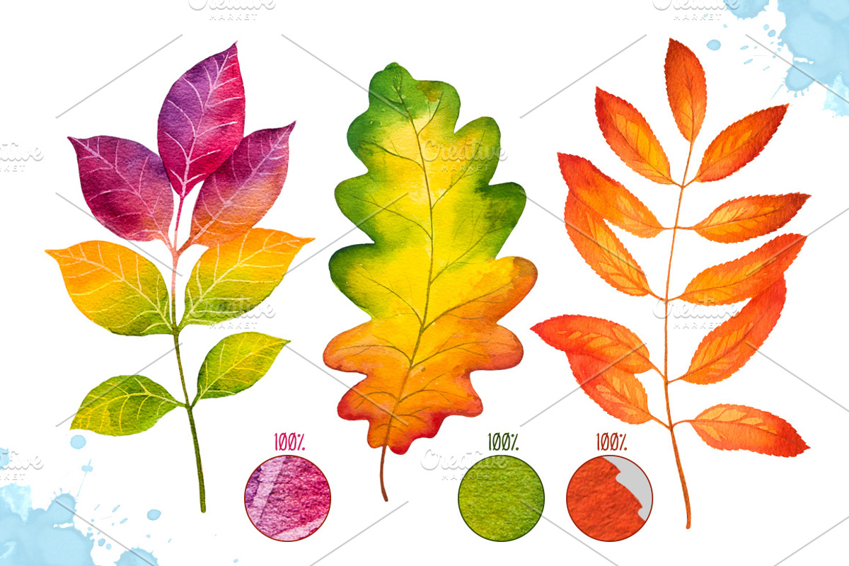 Autumn leaves. Watercolor set., a Decorative Illustration by AlexGreenArt (Photo 2 of 11)