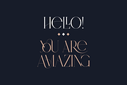 SALE! Type Master - serif font, a Serif Font by VP Fonts (Thumbnail 3 of 24)