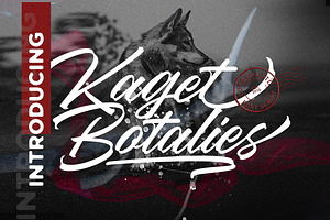 Kaget Botalies Script
