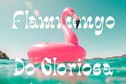 Tropical Paradise Retro Display Font, a Serif Font by Muntab_Art (Thumbnail 8 of 11)