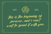 Amigdal Bold Calligraphy Font, a Script Font by stylishtype.co (Thumbnail 7 of 20)
