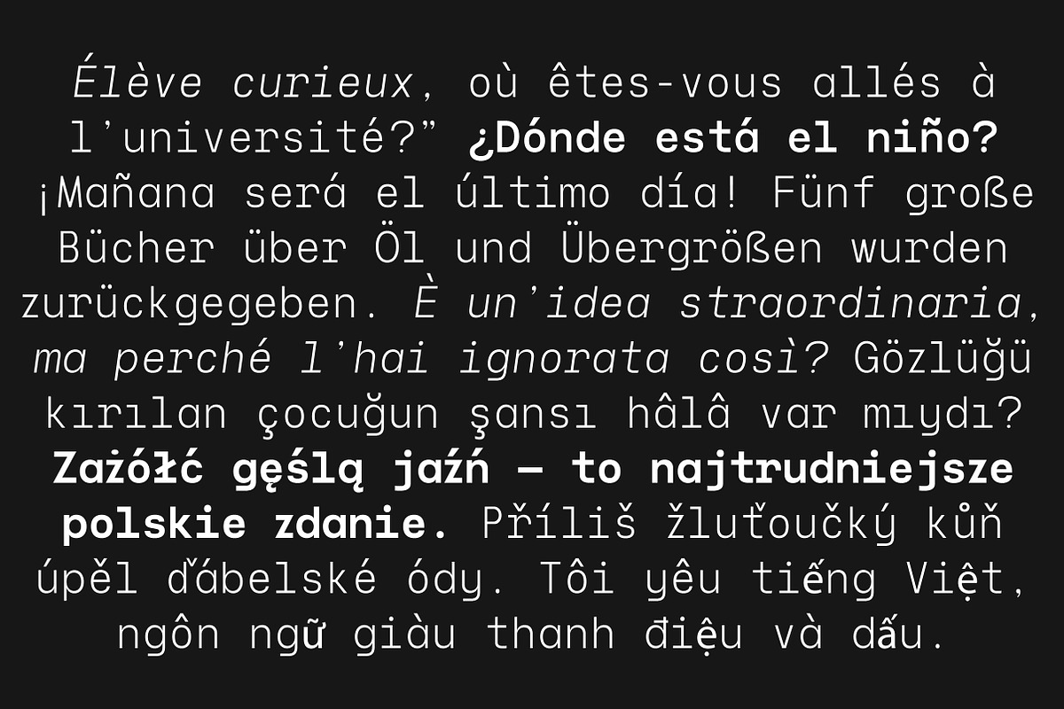 Naru Mono Family | Intro 60% OFF, a Sans Serif Font by Lettertype Studio (Photo 3 of 12)