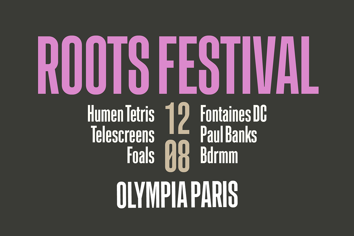 Linton Gothic Extra Condensed, a Font by TypeFaith Fonts (Photo 8 of 16)