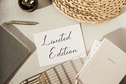 Melliovas - Modern Script Font, a Script Font by Dhabee (Thumbnail 13 of 15)