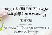 Sugar Plums Script, a Script Font by Emily Spadoni (Thumbnail 3 of 7)