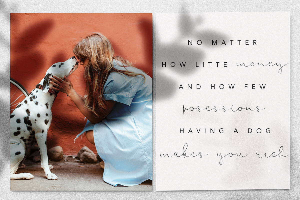 Serpentine Script Font Family, a Script Font by Wooly Pronto (Photo 2 of 8)