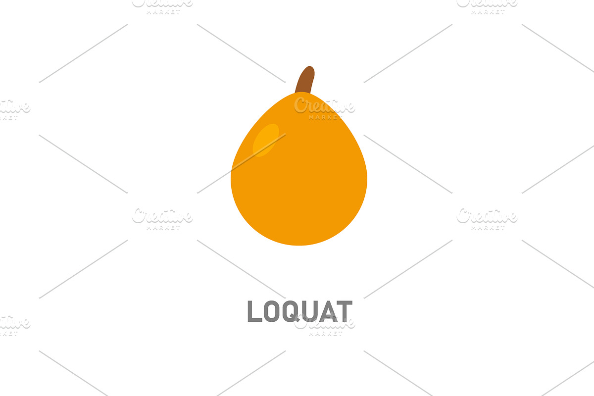 Loquat tropical fruit. Small orange, a Food Illustration by GraphiShop