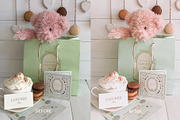 5 Mobile Presets SAKURA, an Action Add-On by Victoria Bee Presets (Thumbnail 2 of 10)