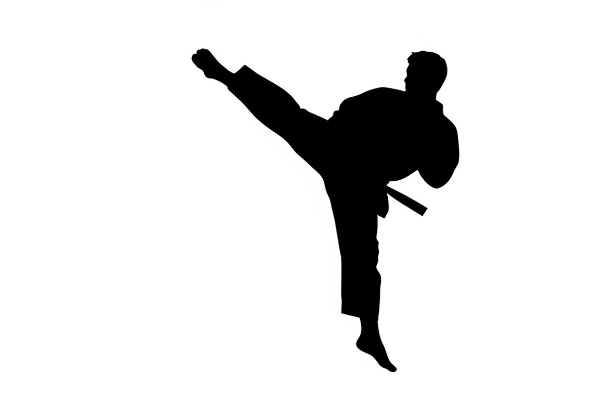 Dynamic martial arts kick silhouette, a Graphic by Amazin_art (Photo 5 of 36)