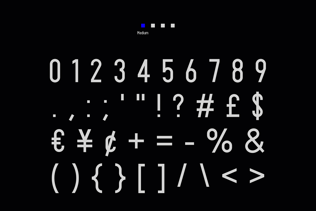 Alpha Typeface | 4 Styles preview 4
