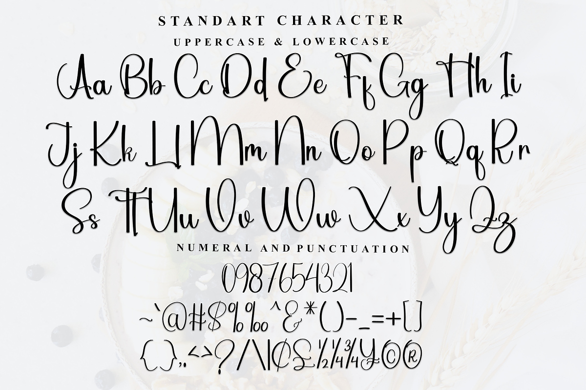 South Catalonia, a Handwritten Font by FreshTypeINK (Photo 6 of 7)