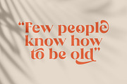 The Brande and Lotaline [UPDATED], a Serif Font by Arterfak Project (Thumbnail 10 of 15)