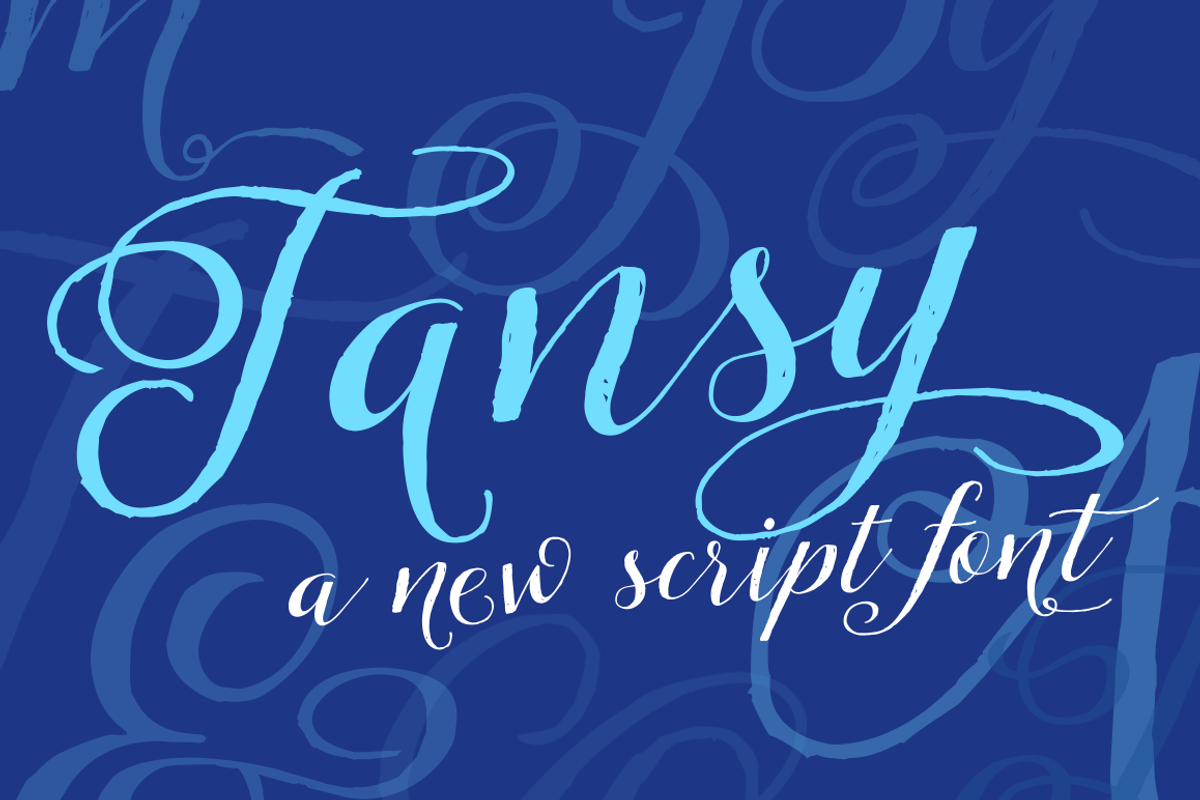 Tansy