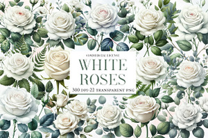 Watercolor White Roses Clipart, an Illustration by Designworld