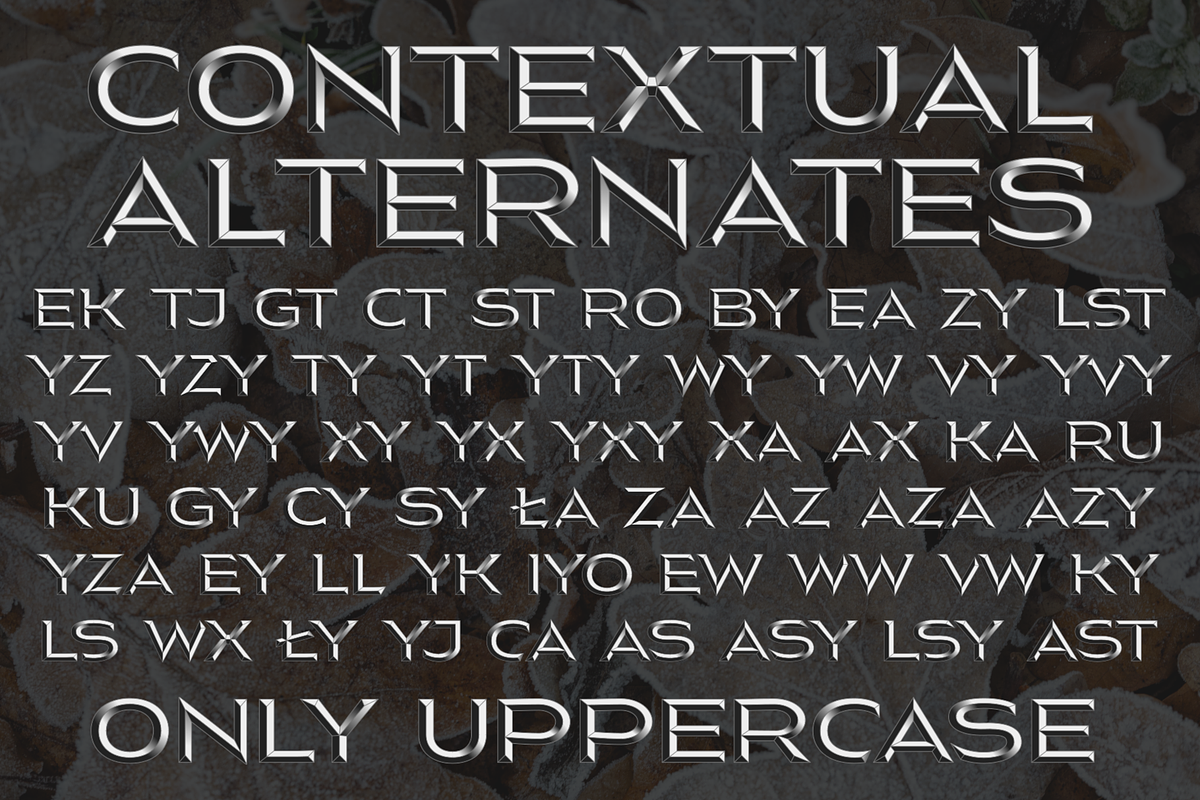 Nesatho OK, a Sans Serif Font by glukfonts (Photo 5 of 10)