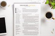 Elegant Resume CV Templates Word, a Resume Template by BestResumes.Co (Thumbnail 1 of 9)