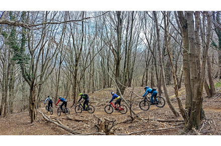 Unrecognisable mountain bikers ride