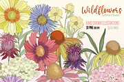 Wildflowers Clipart Flower Graphics, a Decorative Illustration by SLS Lines (Thumbnail 3 of 6)