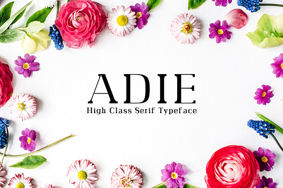 Adie High Class Serif 4 Font Family preview 7