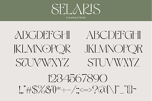 Selaris Modern Serif