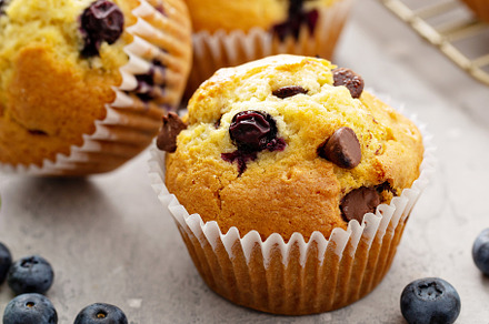 Chocolate chip and blueberry muffins, a Food & Drink Photo by farwasser