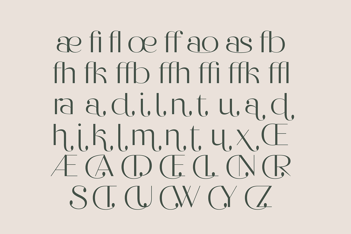 Raslera Modern Serif Display, a Sans Serif Font by timelesstype.co (Photo 18 of 20)