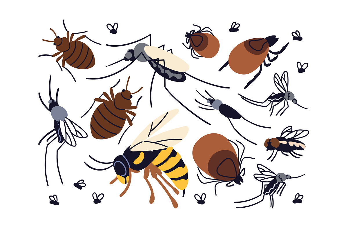 Pest insects, bloodsuckers set, an Animal Illustration by Good Studio (Photo 2 of 3)