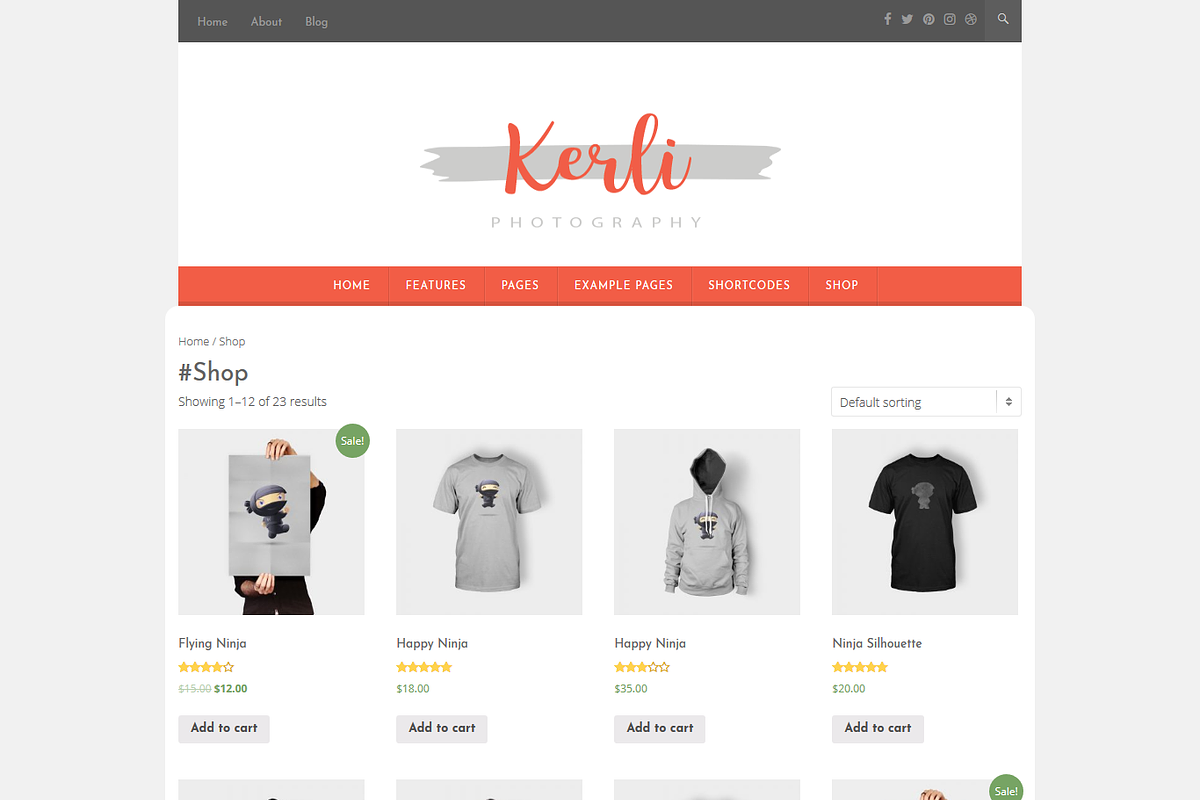 Kerli - Personal WordPress Theme, a WordPress Template by VolThemes (Photo 4 of 5)