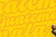 Vivian Script, a Script Font by Vastago Studio (Thumbnail 2 of 13)