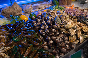 Fresh Shellfish Seafood Display at a, a Food & Drink Photo by Jan Jack Russo Media