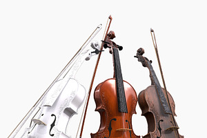 Violin, an Object 3D Model by Snji | 3D Models
